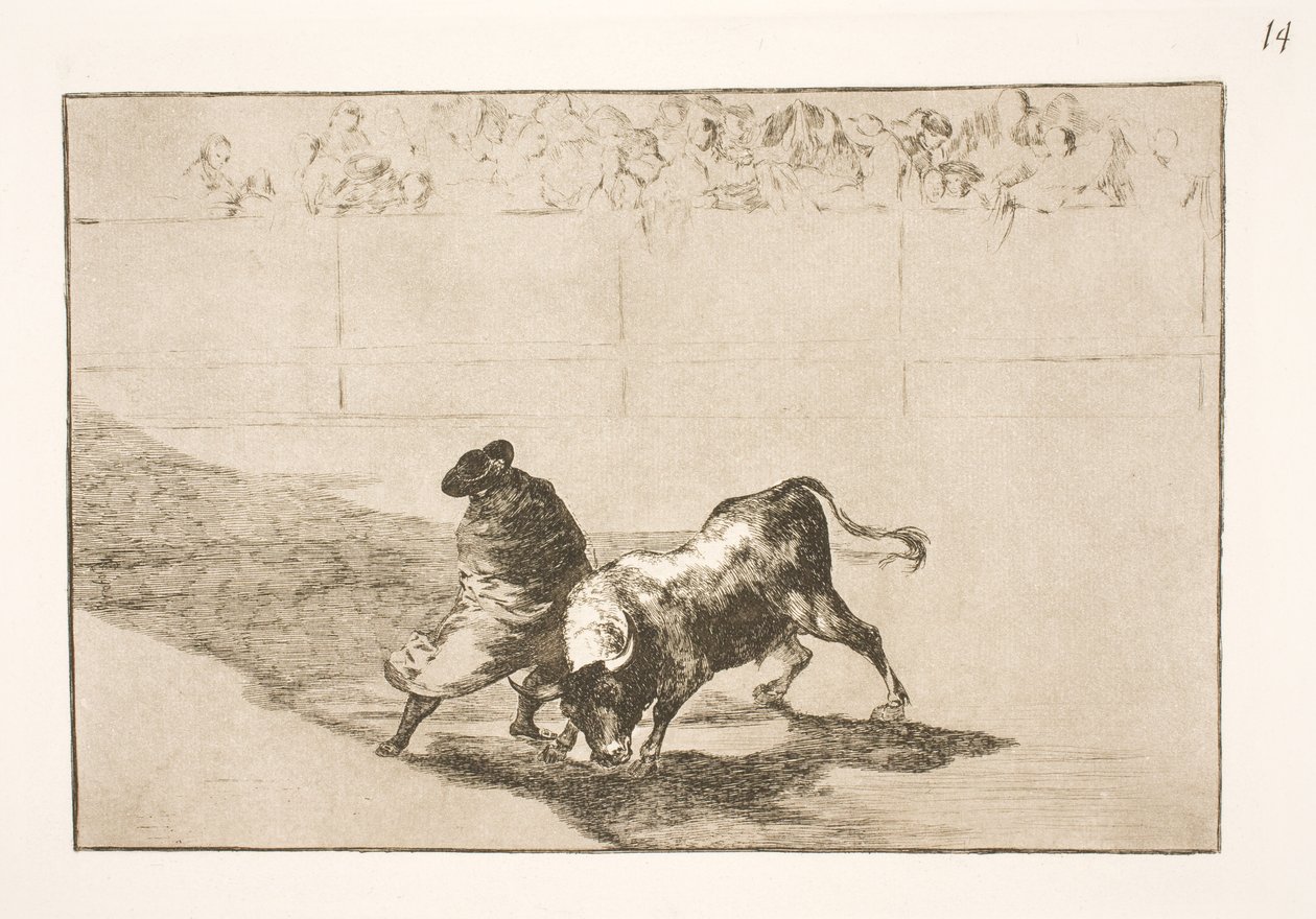 O talentoso aluno de Falces, envolto em sua capa, engana o touro com os movimentos de seu corpo de Francisco de Goya