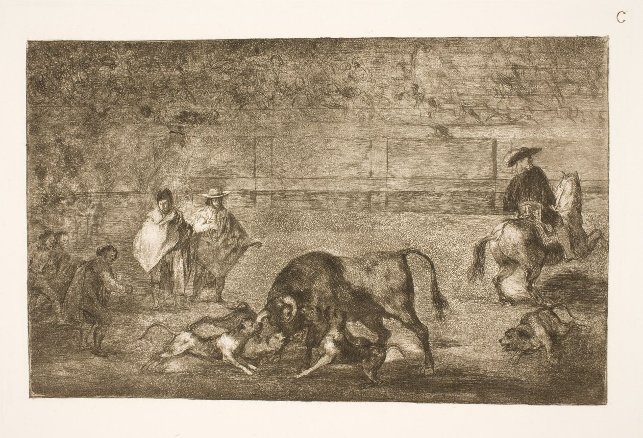 Os cães são polidos no touro de Francisco de Goya