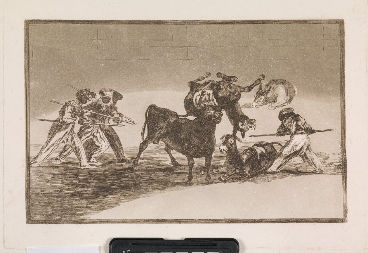 Os mouros usam burros como barreira para se defender do touro, cujos chifres foram munidos de balas de Francisco de Goya