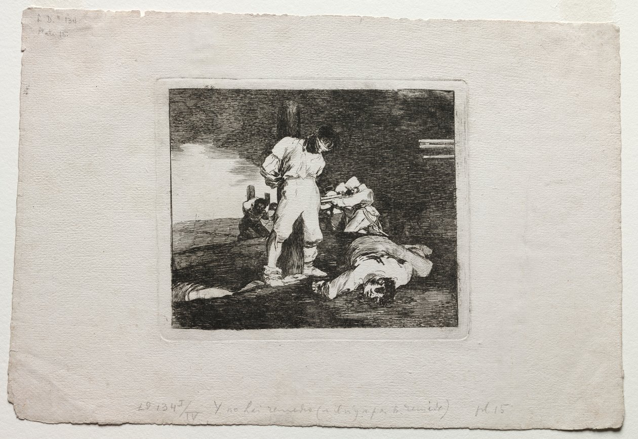Os desastres da guerra: e não há ajuda para isso de Francisco de Goya