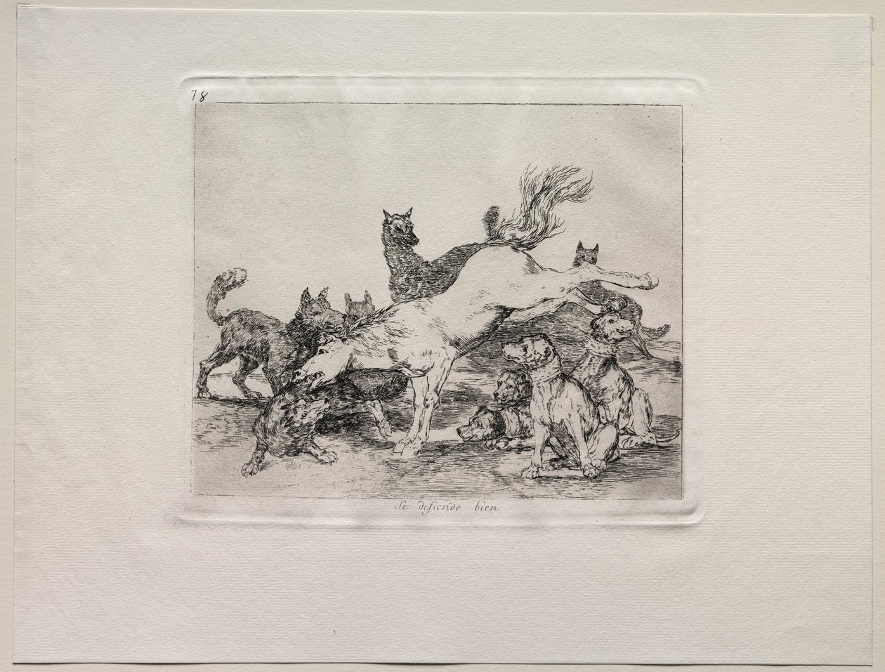 Os horrores da guerra: ele se defende bem de Francisco de Goya