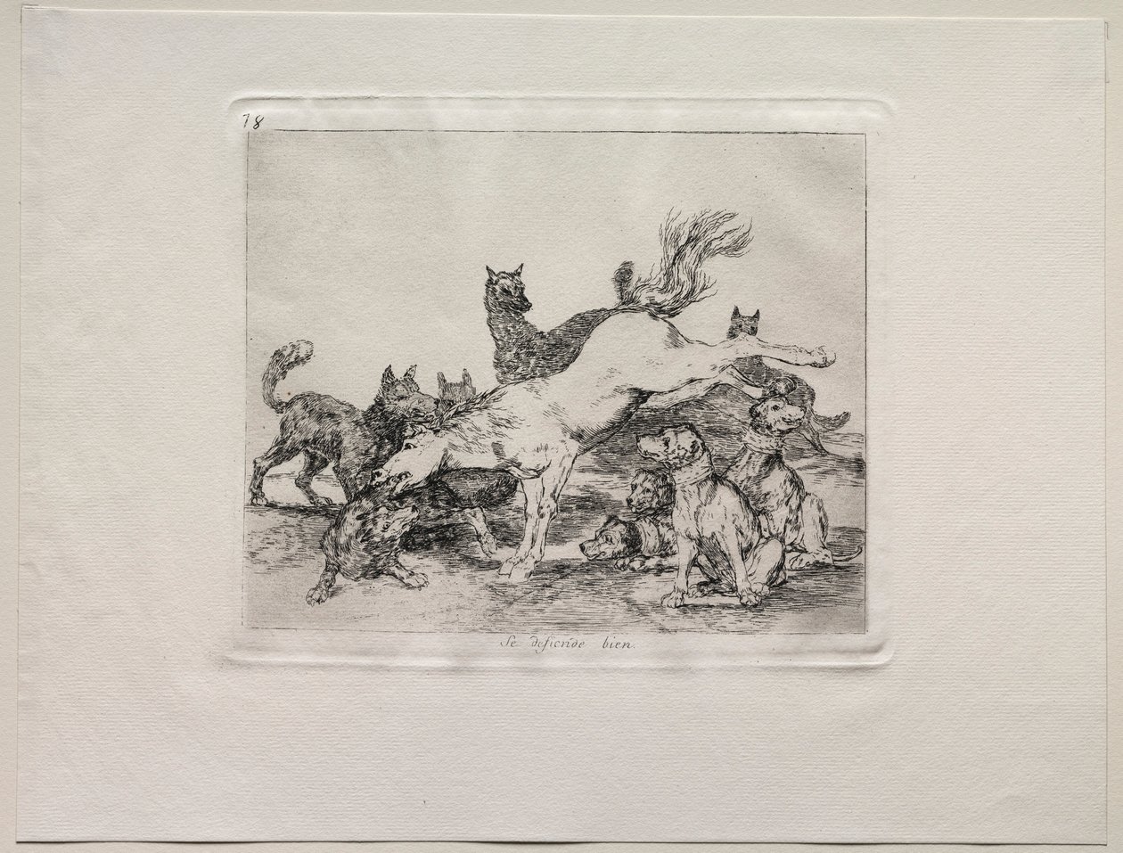 Os horrores da guerra: ele se defende bem. de Francisco de Goya