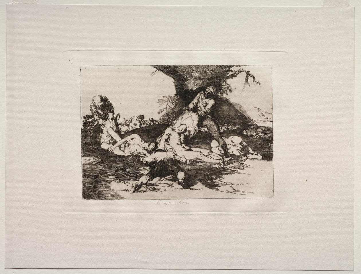 Os horrores da guerra: eles fazem uso deles de Francisco de Goya