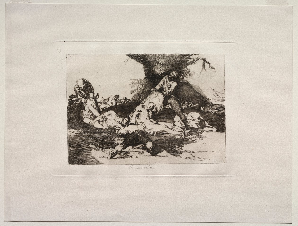 Os horrores da guerra: eles fazem uso deles. de Francisco de Goya