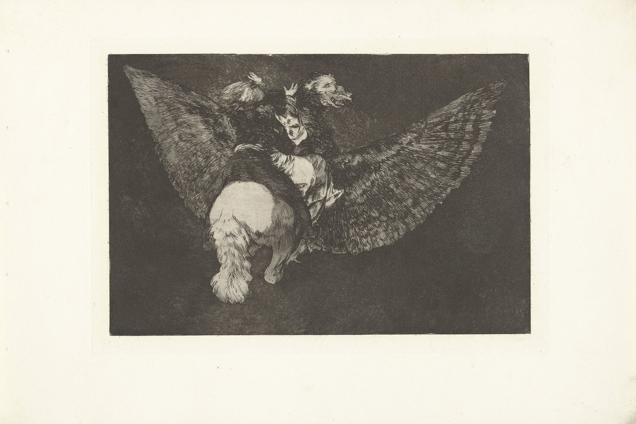 loucura voadora Disparada volante Los Disparates (The follies) (título da série) Los Proverbios (Os Provérbios) (título da série) de Francisco de Goya