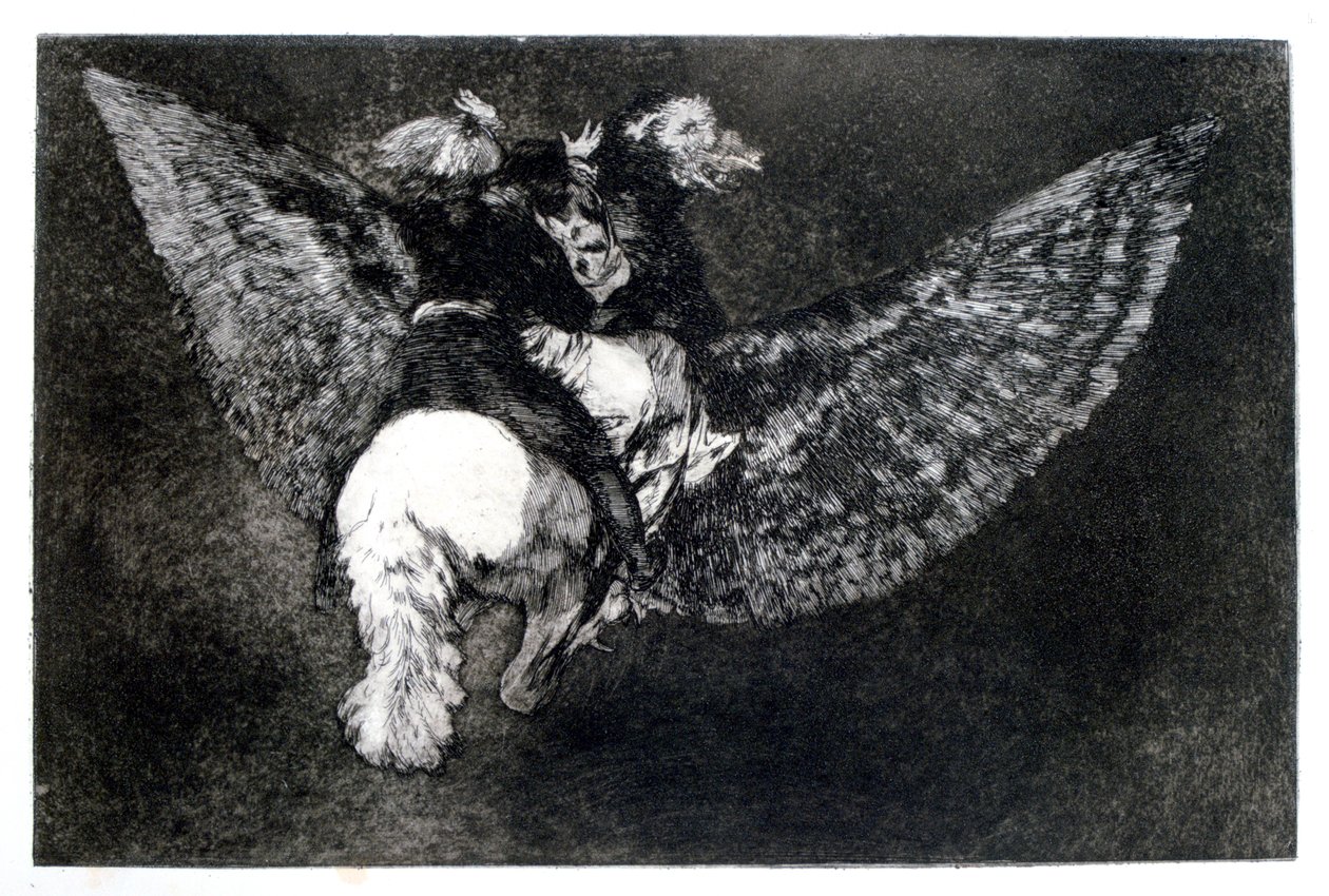 Bobagem alada, 1819-1823 de Francisco de Goya