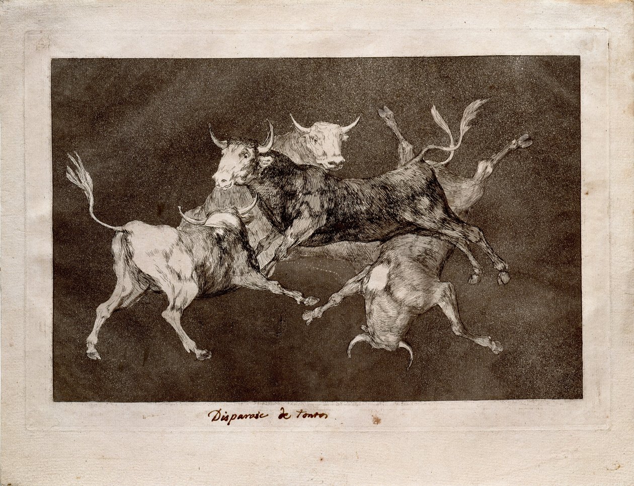 Tolice de Francisco de Goya