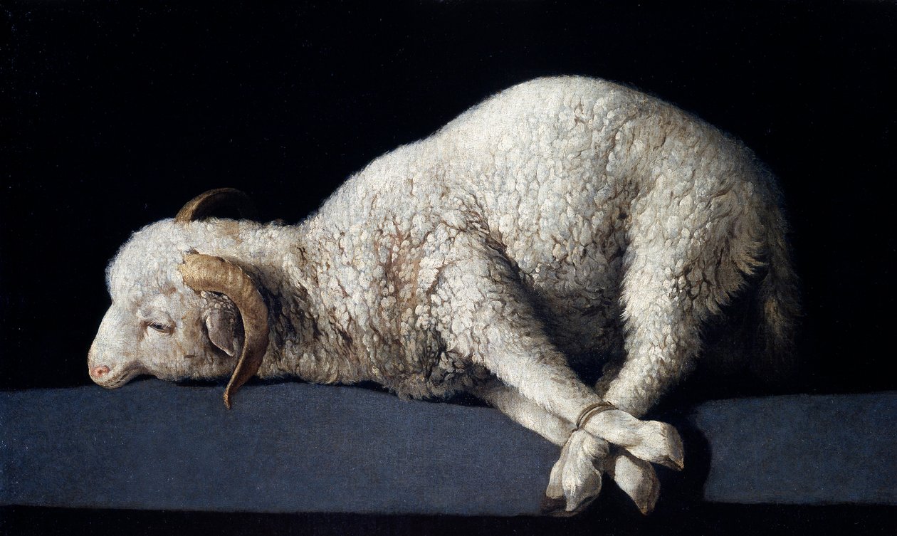 Agnus Dei de Francisco de Zurbaran
