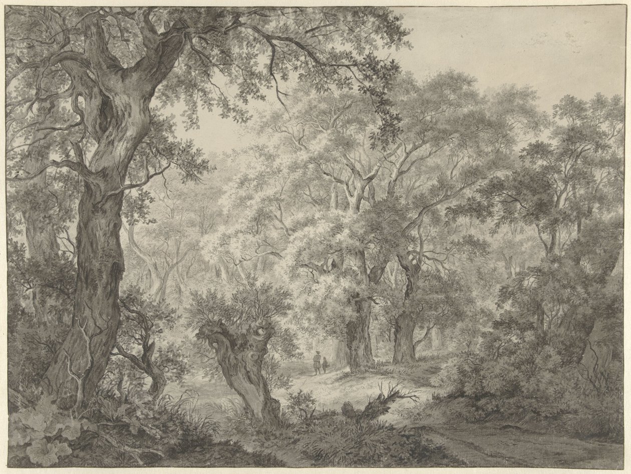 Paisagem florestal de Franciscus Andreas Milatz