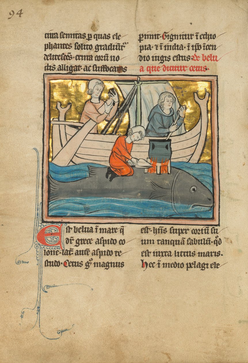 Um pescador na parte de trás de uma baleia, 1277 ou depois de Franco Flemish School