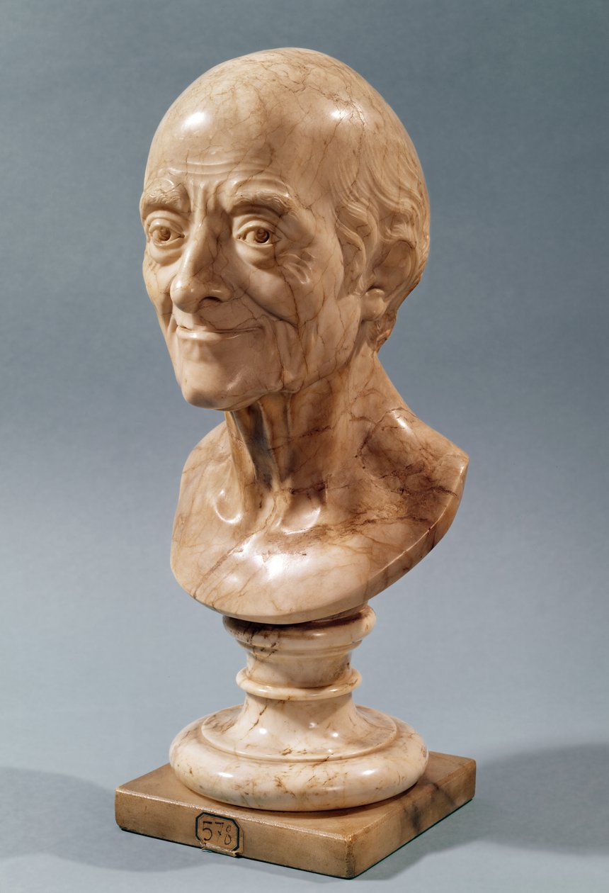 Busto de Voltaire (1694-1778) (mármore) de Francois Marie Rosset