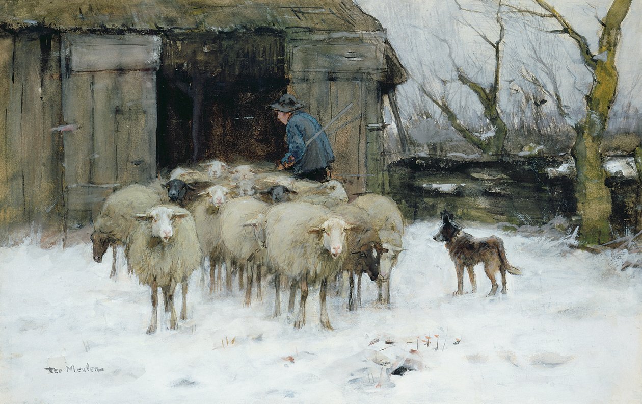 Ovelhas na manhã de inverno de Francois Pieter ter Meulen
