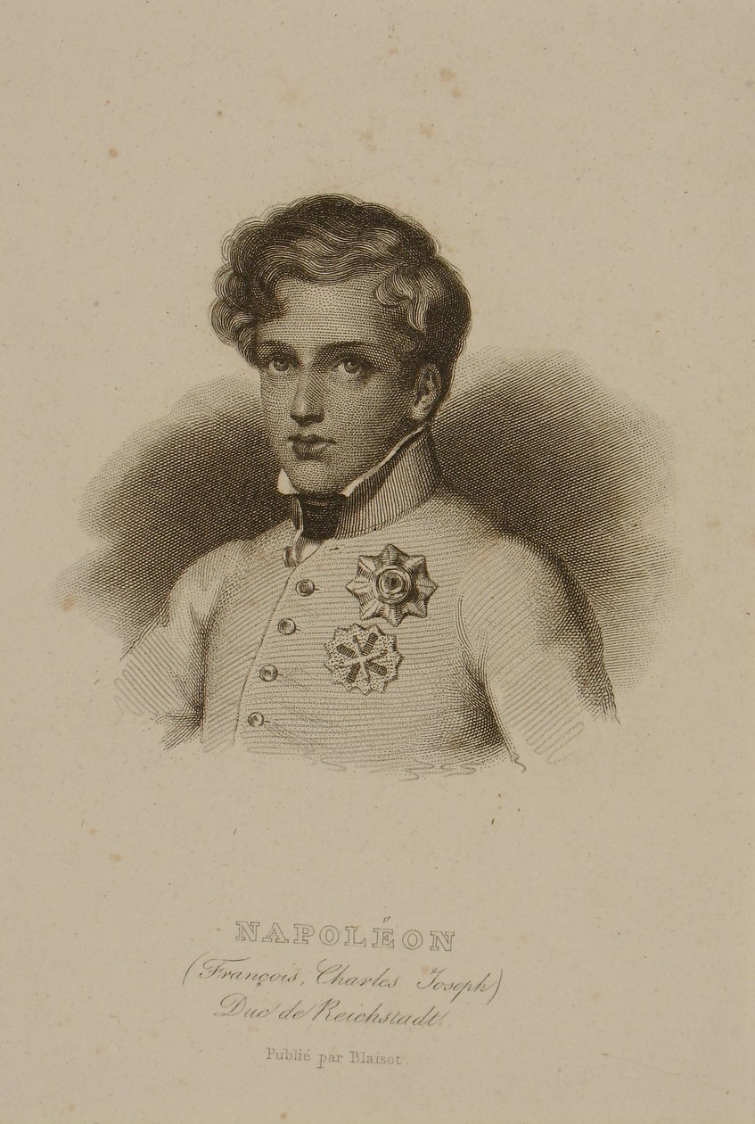 François Charles Joseph Bonaparte (1811-1832) Napoleão II de Francois Seraphin Delpech