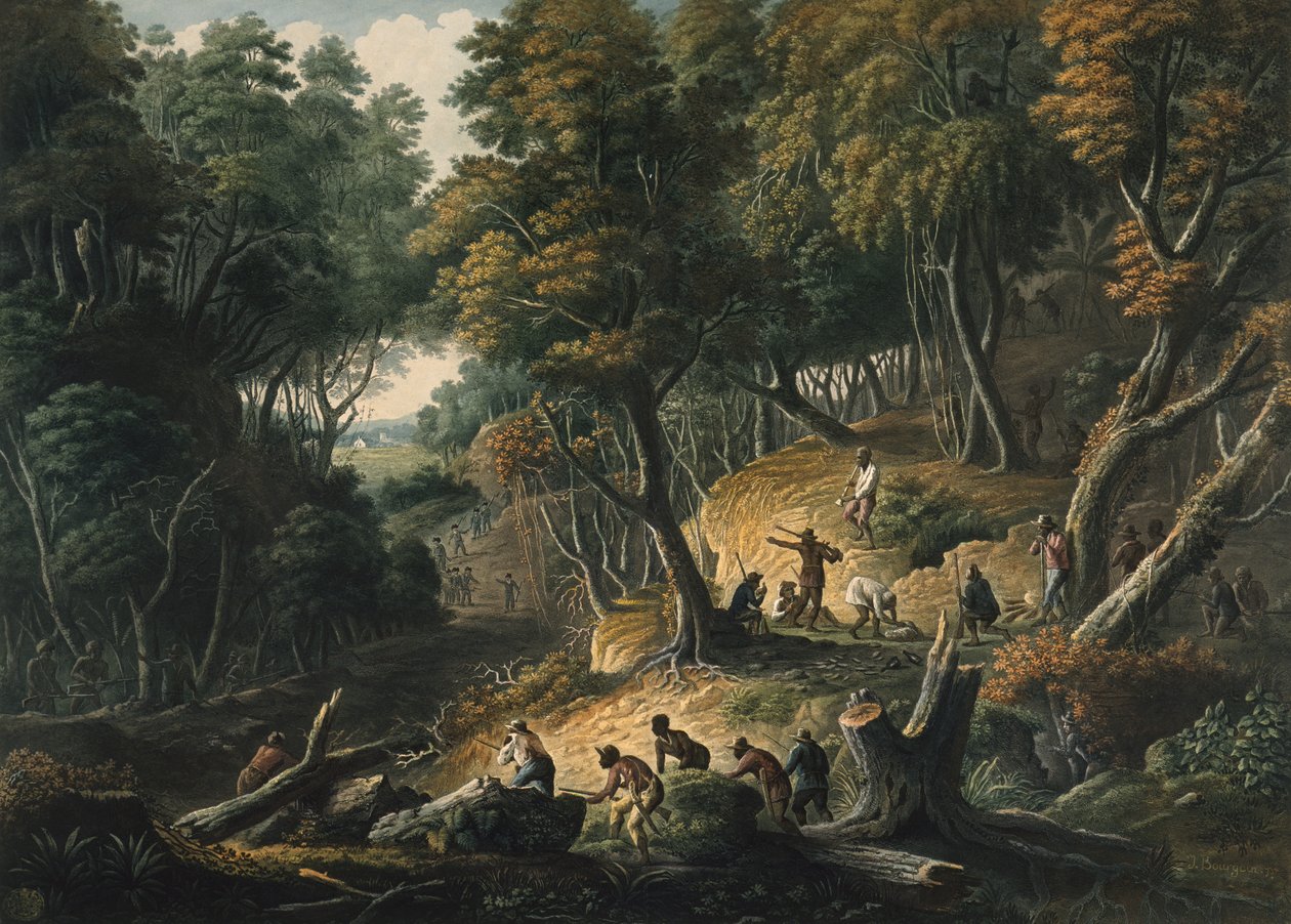 Os Maroons em emboscada na Propriedade Dromily na Paróquia de Trelawney, Jamaica, pub. 1801 de Francois Joseph Bourgoin