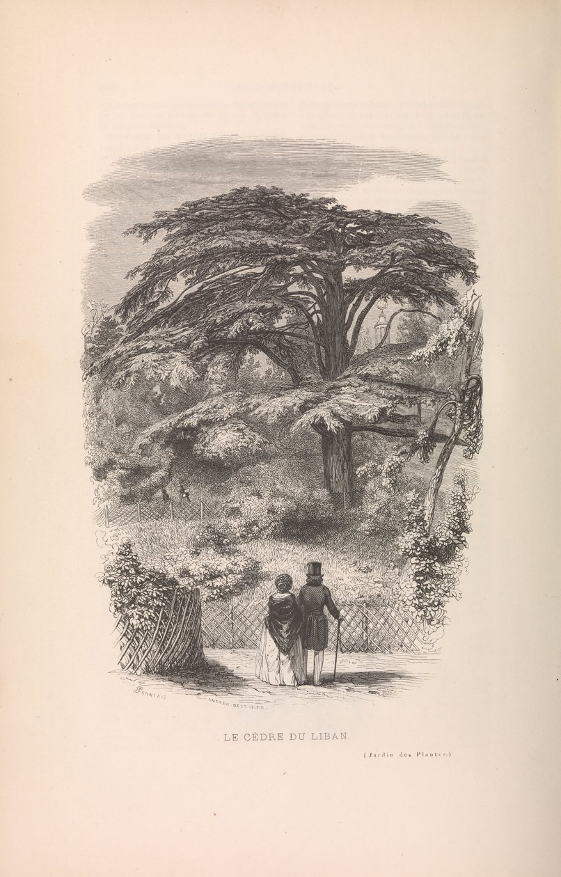 O Jardim Botânico, Descrições e Maneiras dos Mamíferos, 1842. de Francois Boitard