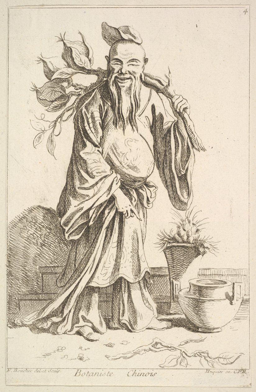 botânico chinês de François Boucher