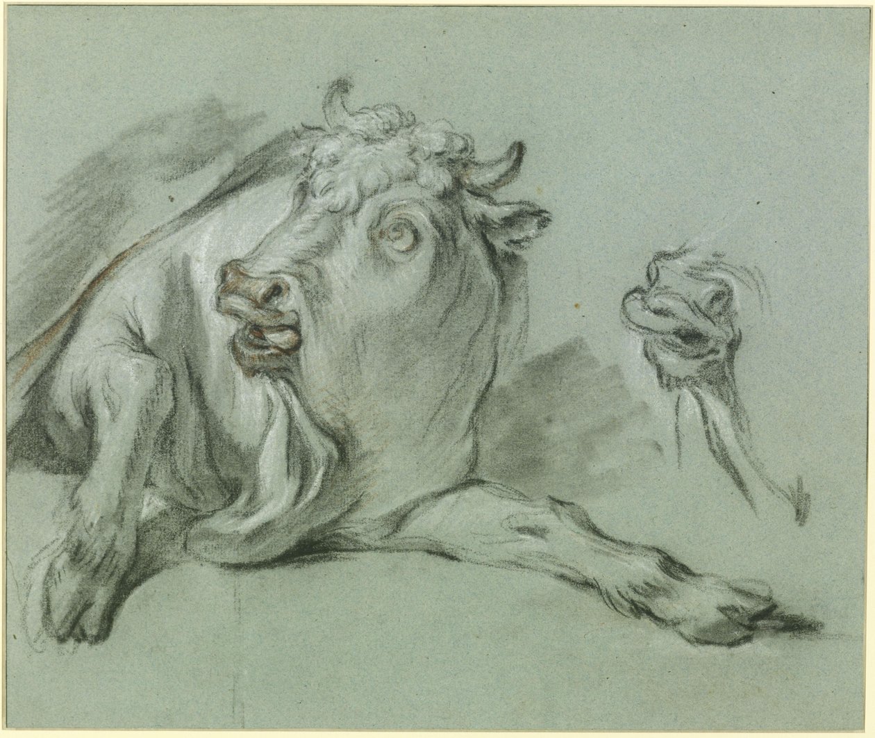Touro deitado. Estudo para o quadro «O Rapto de Europa», no Musée du Louvre, em Paris de François Boucher