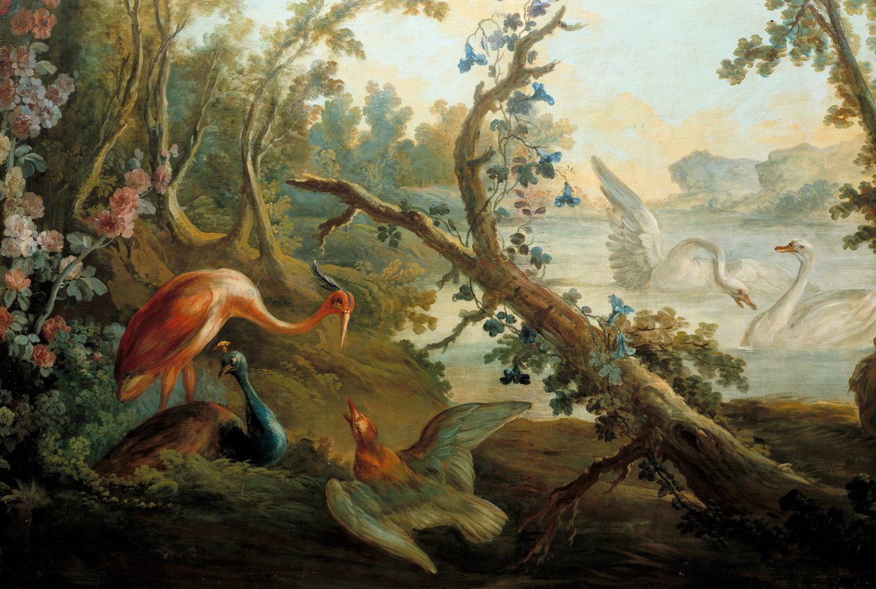 Cisnes e pavões Pintura de François Boucher (1703-1770) Paris do século XVIII, Musee Carnavalet de François Boucher