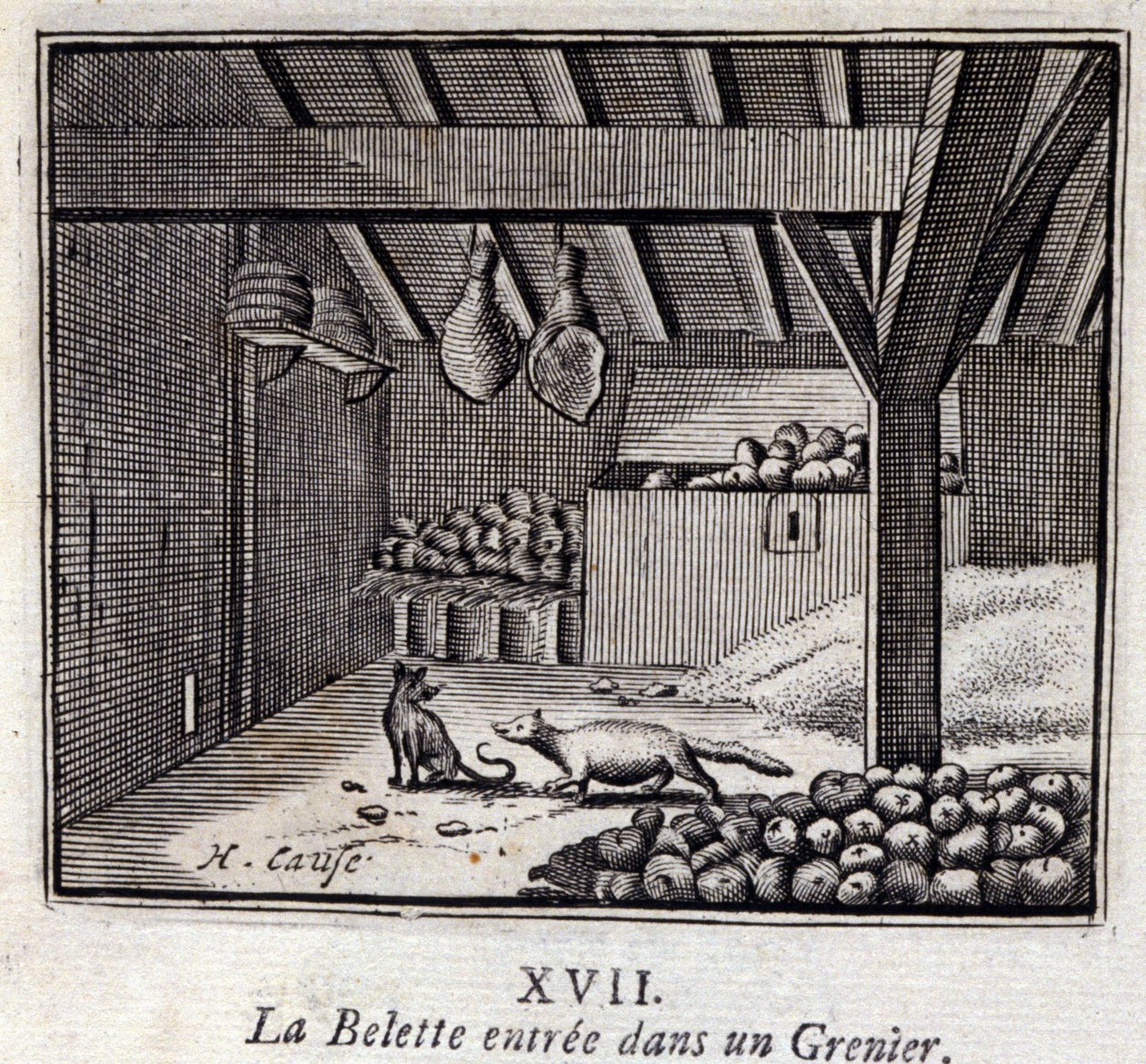 La Weasette entrou num Grenier. Fábulas de Jean de La Fontaine (1621-95). Ilustração de François Chauveau (1613-1676). Edição de 1728. de Francois Chauveau