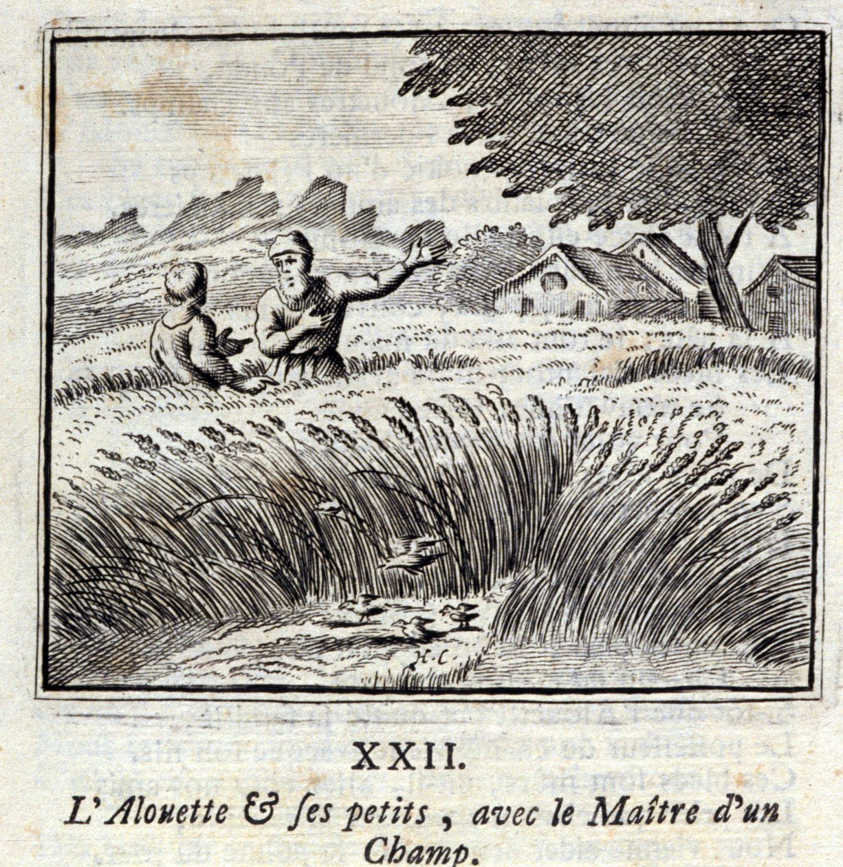 O Alouette e os seus pequenos com o Mestre de um campo. Fábulas de Jean de La Fontaine (1621-95). Ilustração de François Chauveau (1613-1676). Edição de 1728. de Francois Chauveau