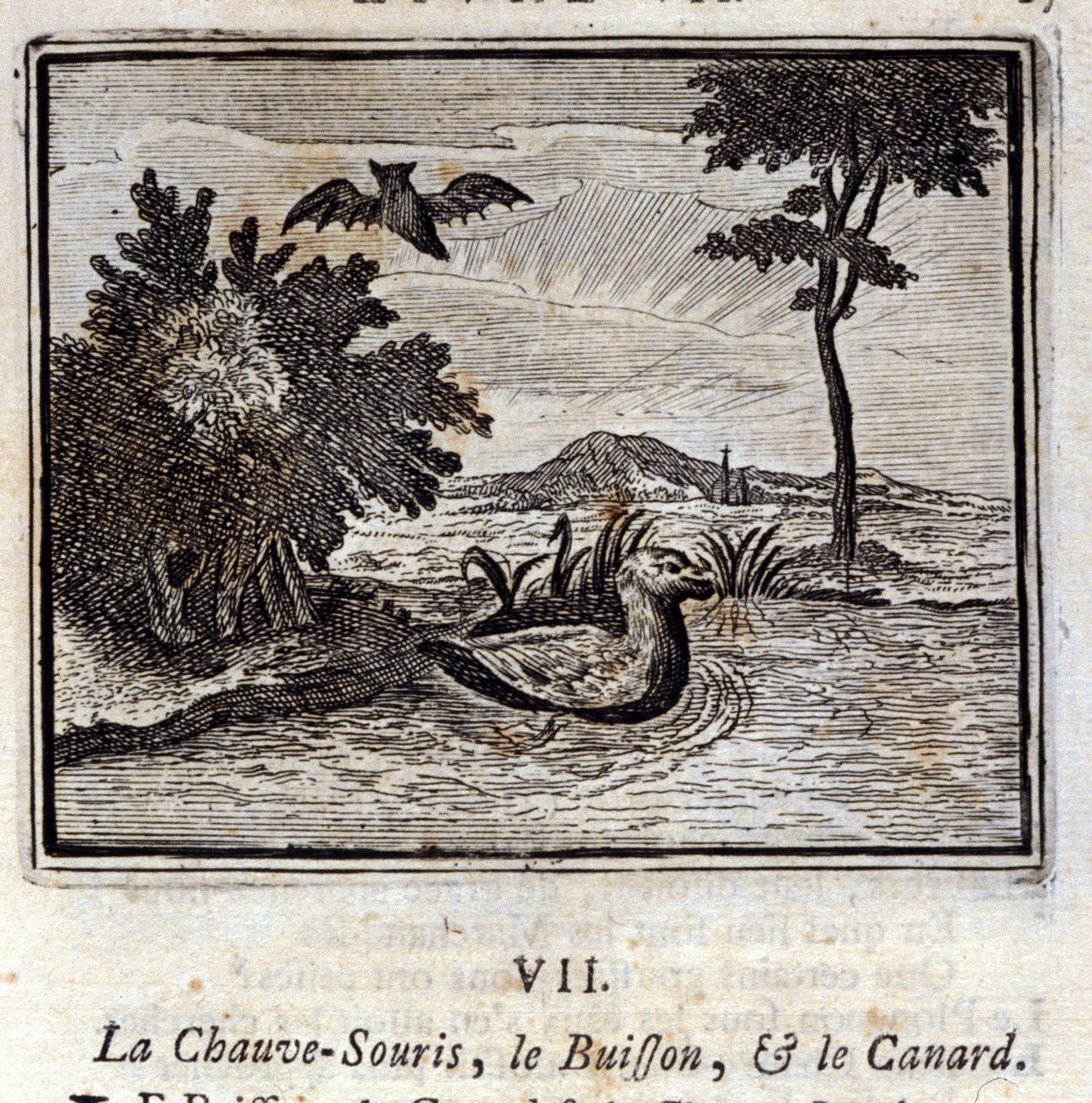 O Morcego, o Bush e o Pato. Fábulas de Jean de La Fontaine (1621-95). Ilustração de François Chauveau (1613-1676). Edição de 1728. de Francois Chauveau