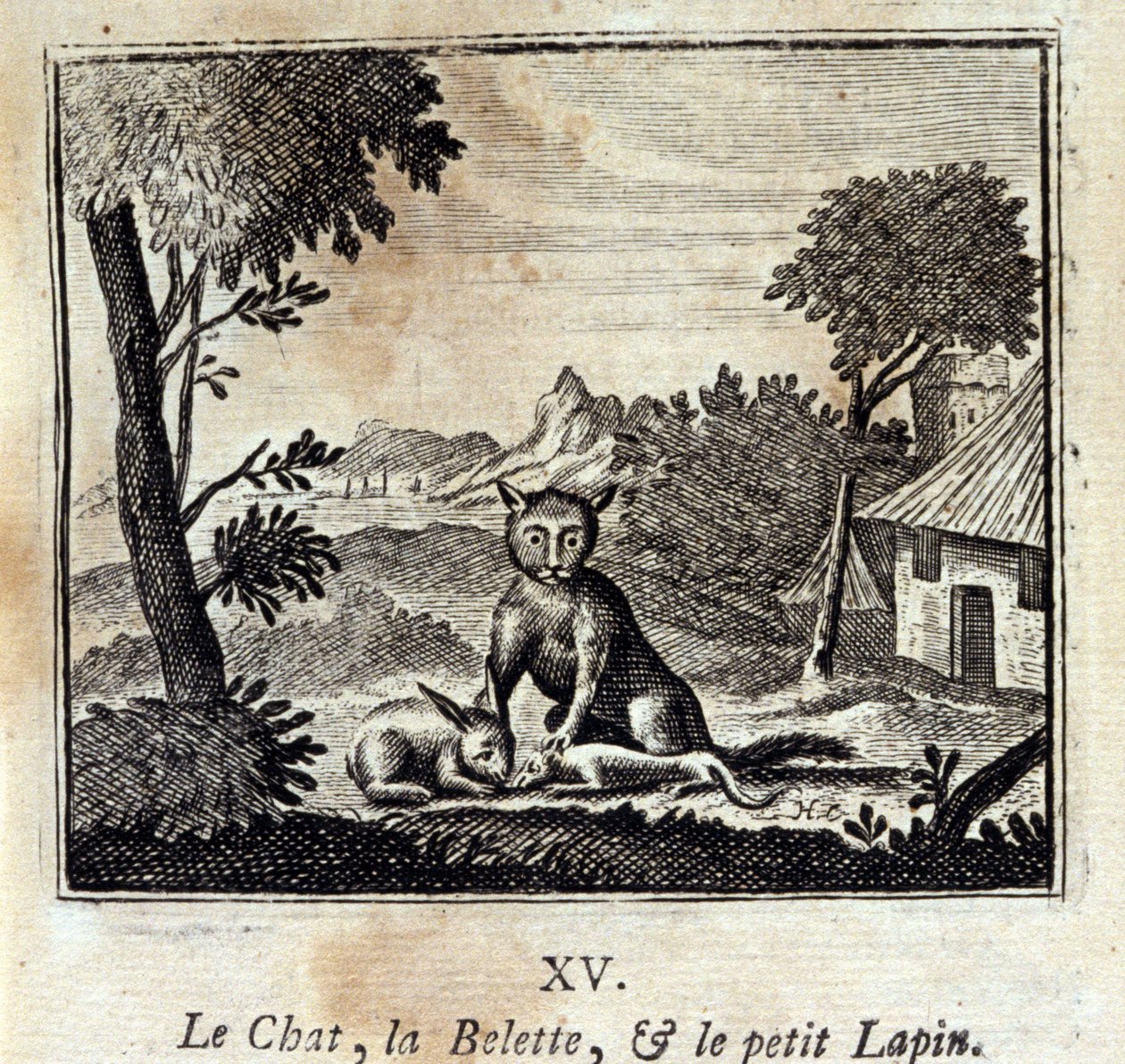 O Gato, a Doninha e o coelhinho. Fábulas de Jean de La Fontaine (1621-95). Ilustração de François Chauveau (1613-1676). Edição de 1728. de Francois Chauveau