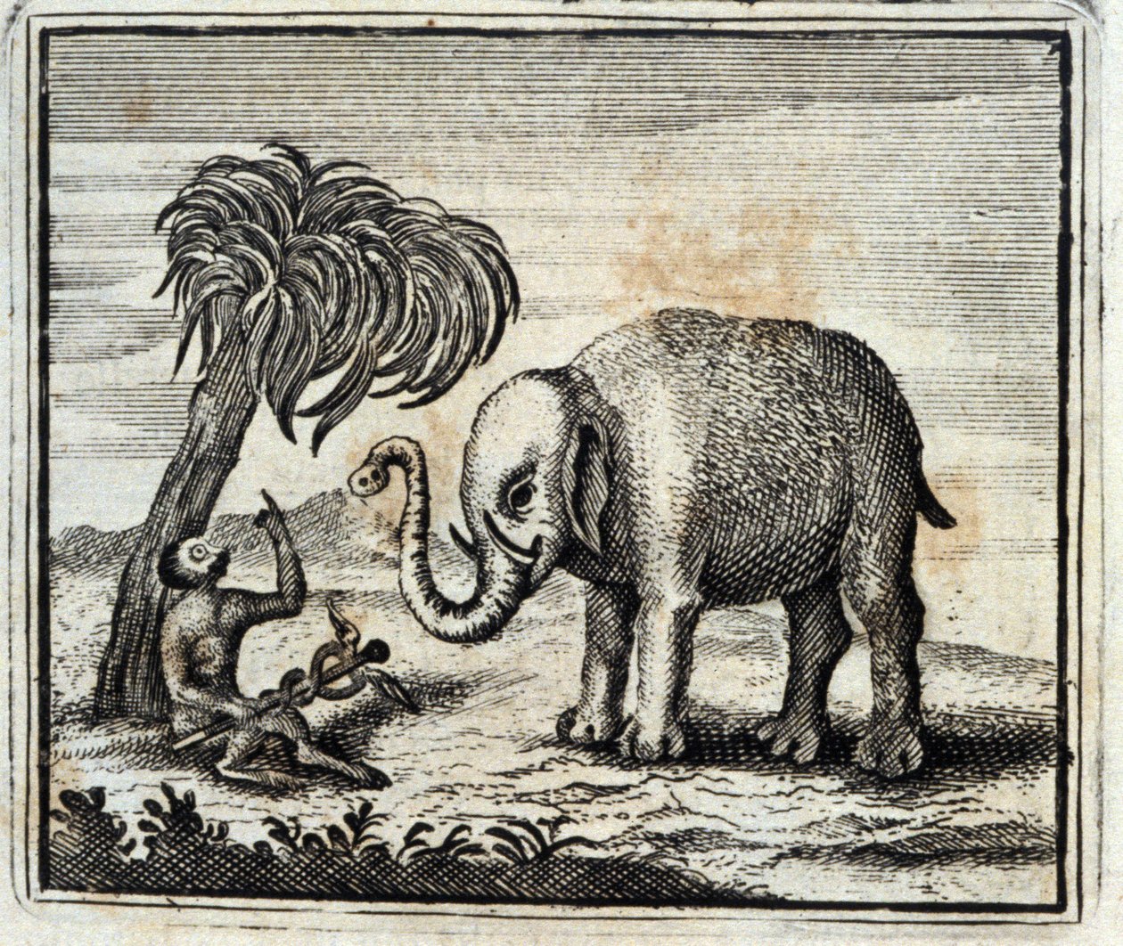 O Elefante e o Macaco de Júpiter. Fábulas de Jean de La Fontaine (1621-95). Ilustração de François Chauveau (1613-1676). Edição de 1728. de Francois Chauveau