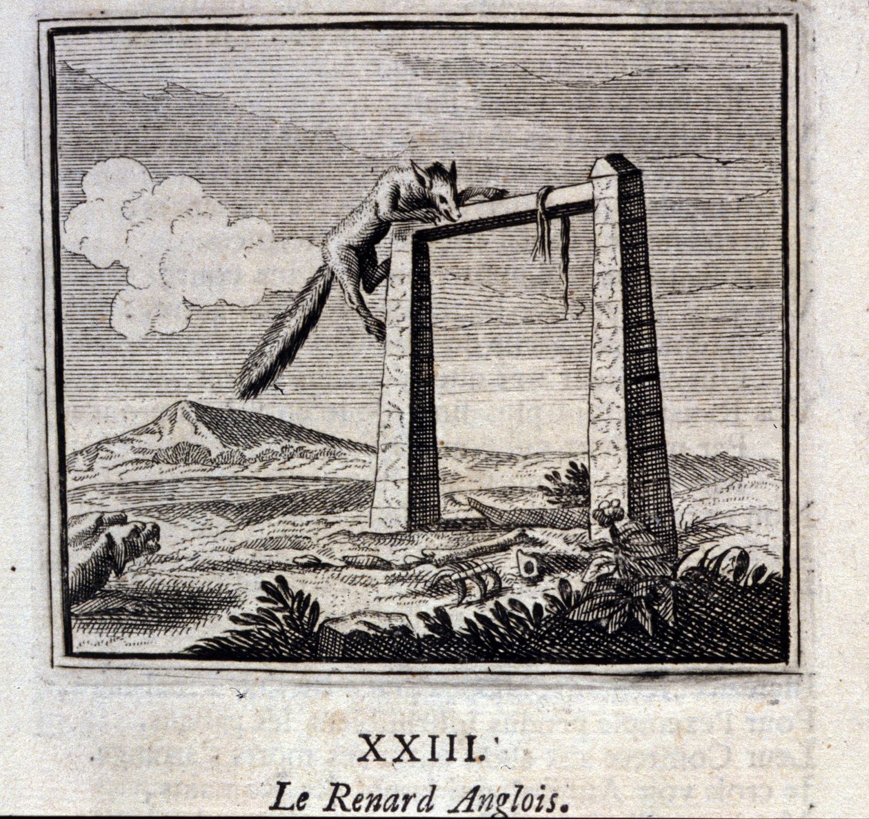 A Raposa Inglesa. Fábulas de Jean de La Fontaine (1621-95). Ilustração de François Chauveau (1613-1676). Edição de 1728. de Francois Chauveau