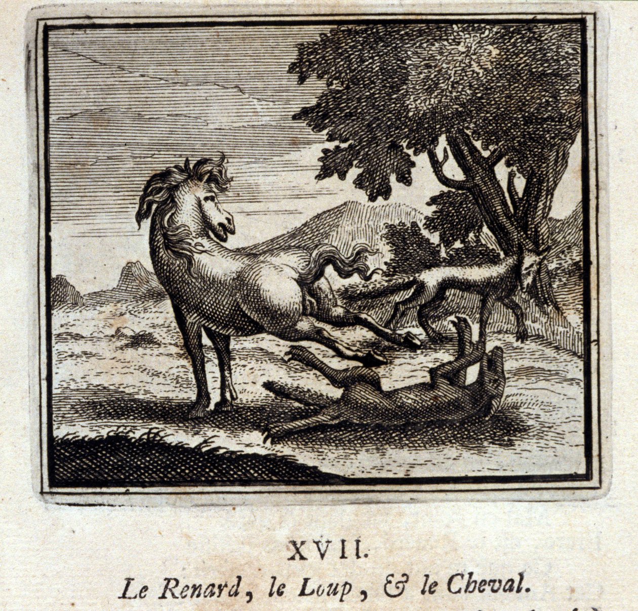 A Raposa, o Lobo e o Cavalo. Fábulas de Jean de La Fontaine (1621-95). Ilustração de François Chauveau (1613-1676). Edição de 1728. de Francois Chauveau