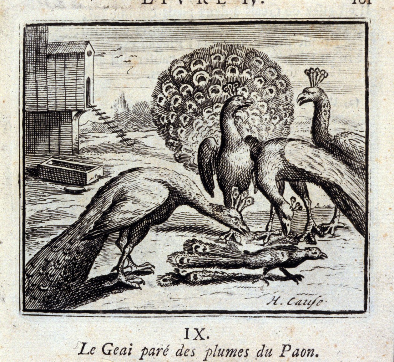 O Jay adorna as penas do pavão. Fábulas de Jean de La Fontaine (1621-95). Ilustração de François Chauveau (1613-1676). Edição de 1728. de Francois Chauveau