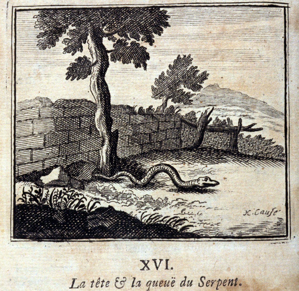 A cabeça e a cauda da Serpente. Fábulas de Jean de La Fontaine (1621-95). Ilustração de François Chauveau (1613-1676). Edição de 1728. de Francois Chauveau