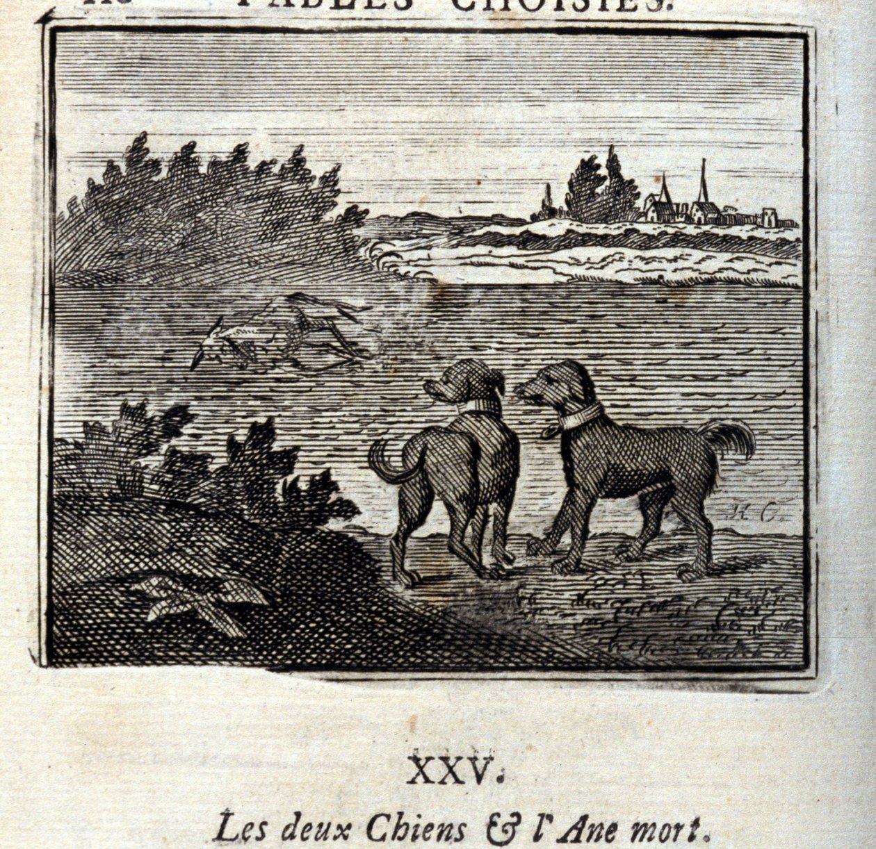 Os dois Cães e o Burro Morto. Fábulas de Jean de La Fontaine (1621-95). Ilustração de François Chauveau (1613-1676). Edição de 1728. de Francois Chauveau