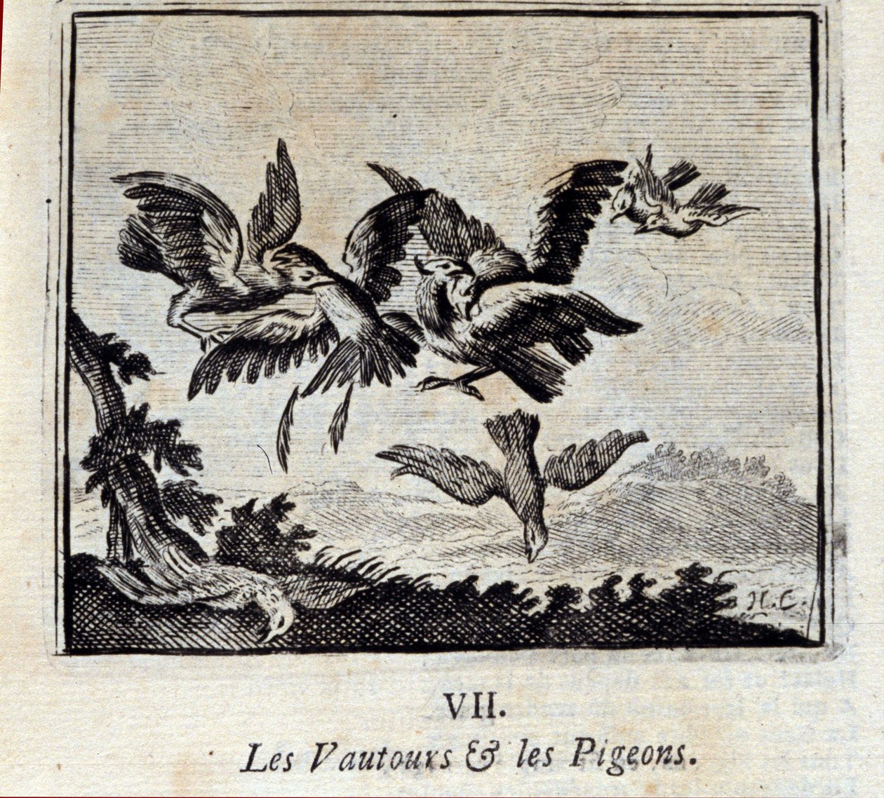 Abutres e Pombos. Fábulas de Jean de La Fontaine (1621-95). Ilustração de François Chauveau (1613-1676). Edição de 1728. de Francois Chauveau