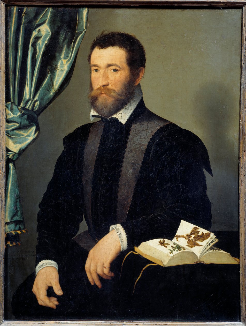 Retrato do boticário Pierre Quthe (1519-apres 1588) Pintura de François Clouet (1515-1572) 1562 Sol. 0,91x0,7 m - Retrato do boticário Pierre Quthe (1519- ca1588). Pintura de François Clouet (1515-1572) de François Clouet