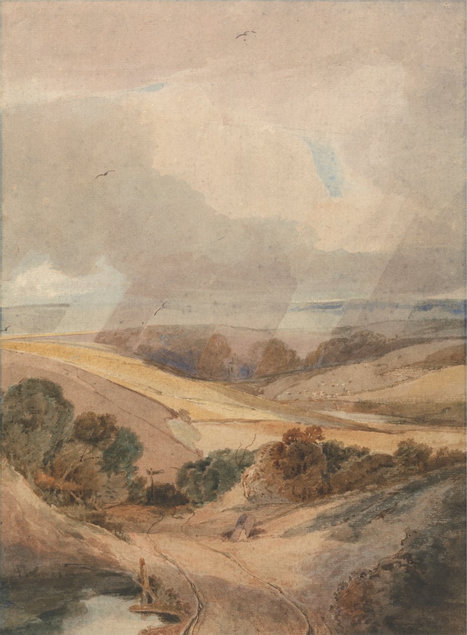 Mousehold Heath, Norwich de Francois Louis Thomas Francia