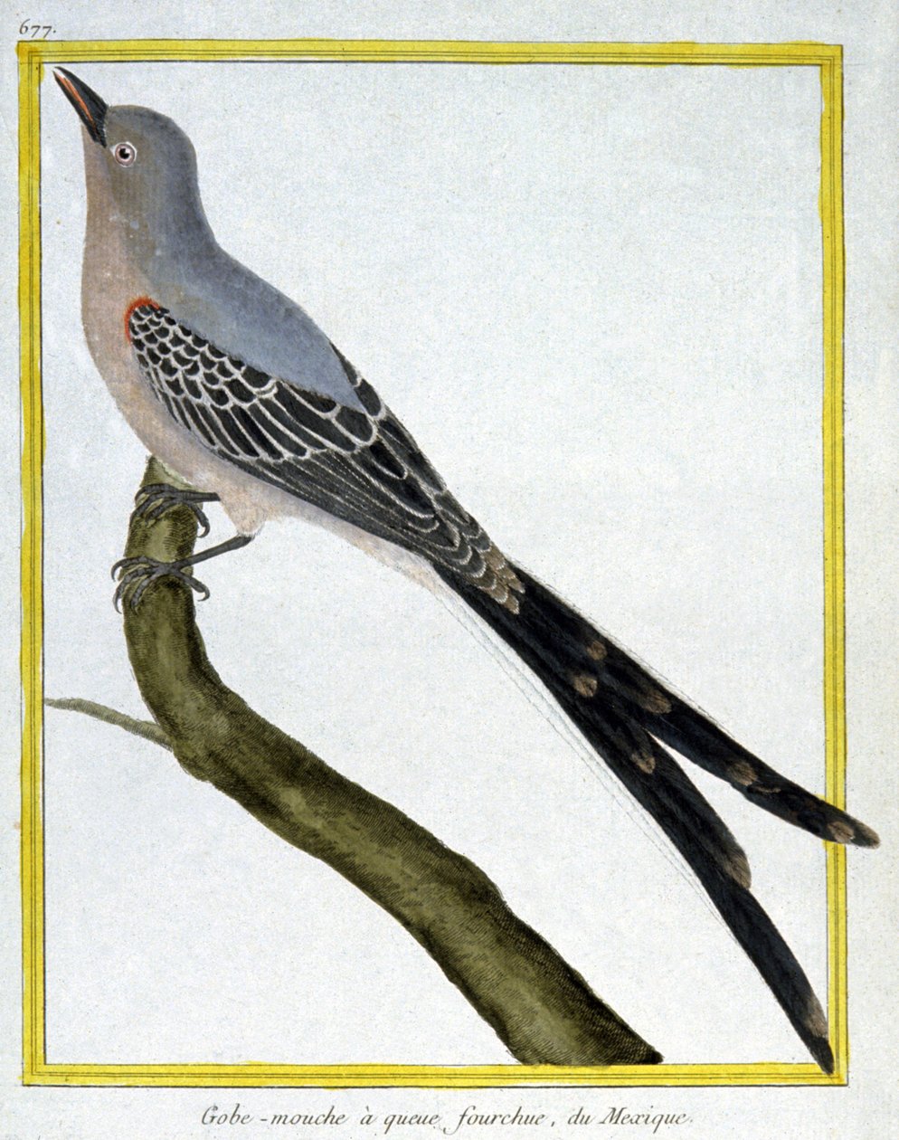 Azulejos de Francois Nicolas Martinet