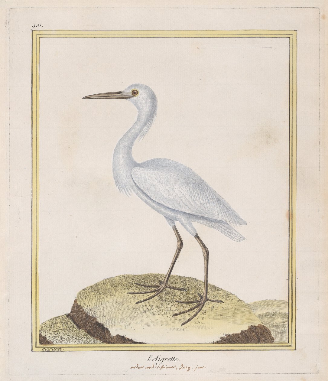 Floresta. de Francois Nicolas Martinet