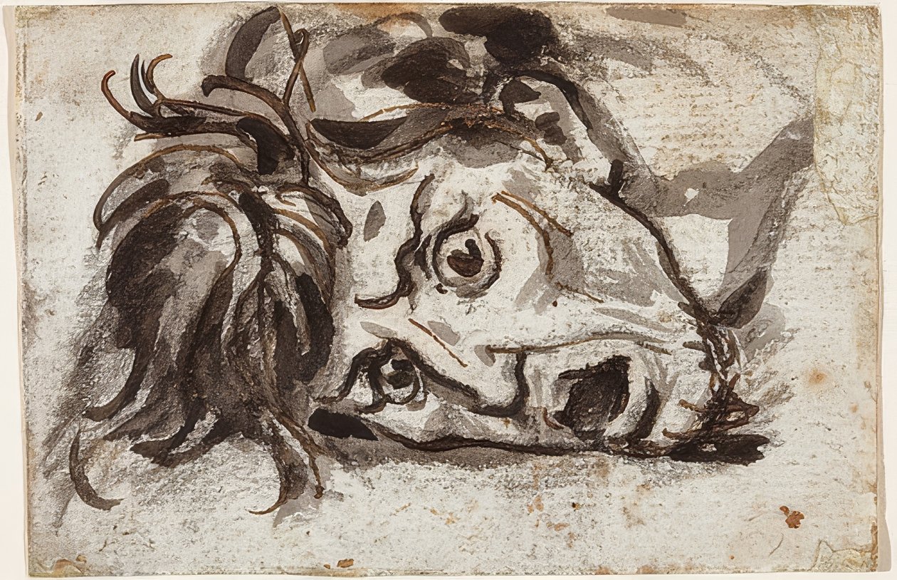 Cabeça de um homem com a boca aberta e os olhos bem abertos de Francois Pascal Simon Gerard