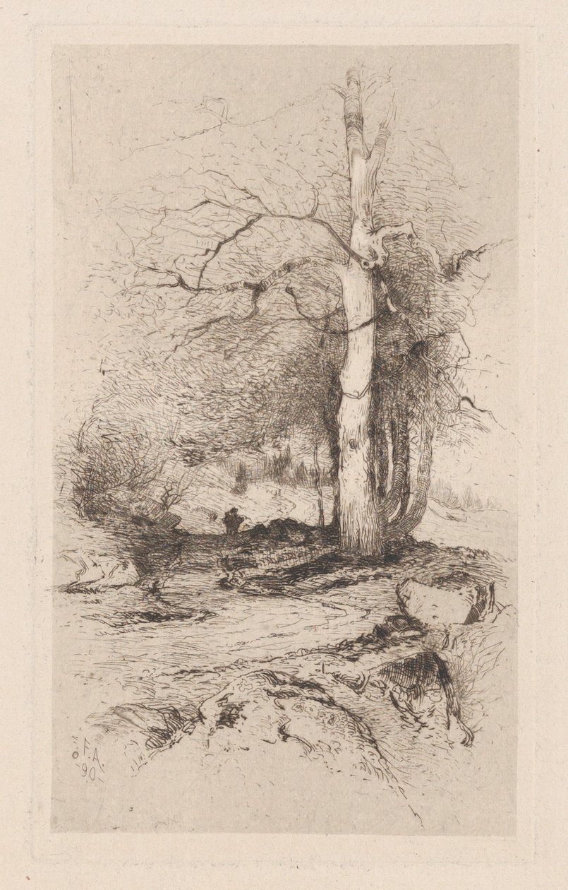 Floresta. de Frank Anderson