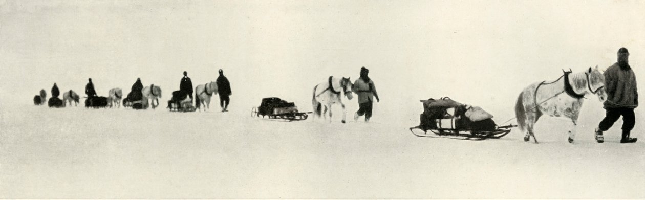 Pôneis em março de 1911, 1913 de Frank Debenham