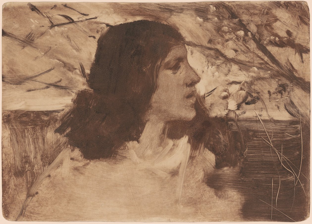 Cabeça de uma mulher de Frank Duveneck