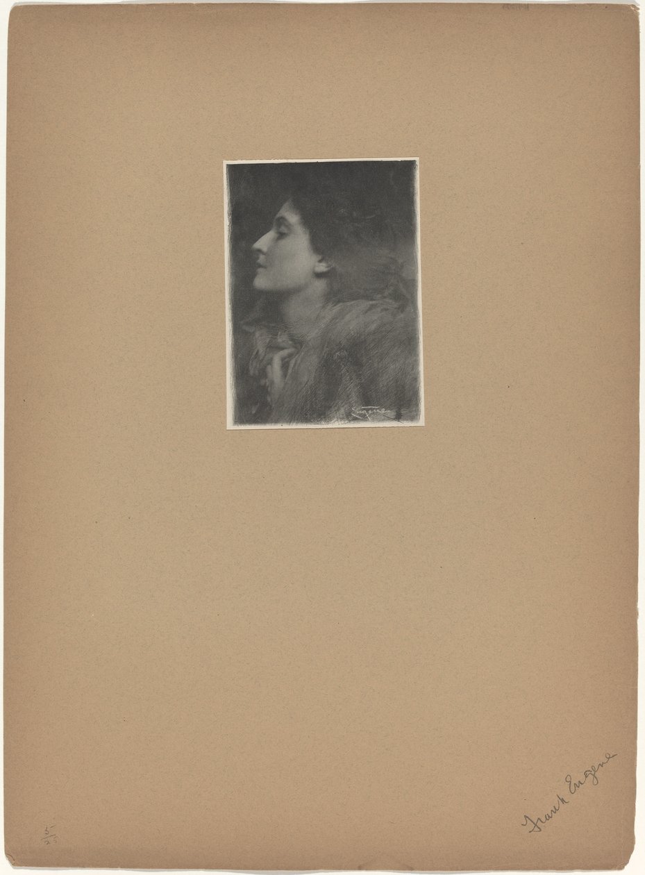 Senhora de Charlotte de Frank Eugene