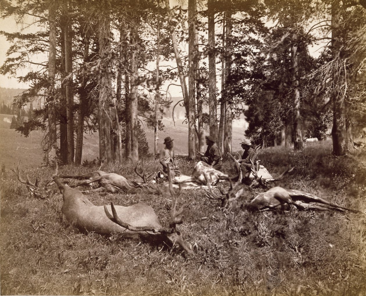 Elk Hunters, Yellowstone, c.1880 (impressão em prata albumina) de Frank Jay Haynes