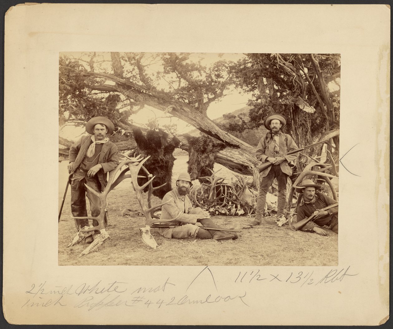 Festa de Lispenard Stewart, #6 - 5th Ave., N.Y. com troféus junto a um velho cedro, Mammoth Hot Springs, Parque Nacional de Yellowstone de Frank Jay Haynes