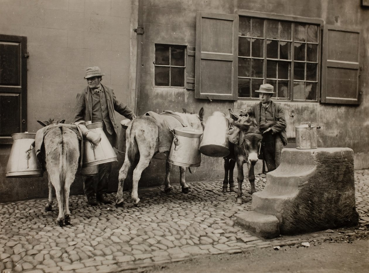 Burros de Leite, c. 1890. de Frank Meadow Sutcliffe