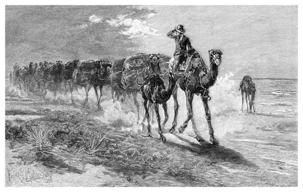 Camelos com lã, 1886. de Frank P. Mahony