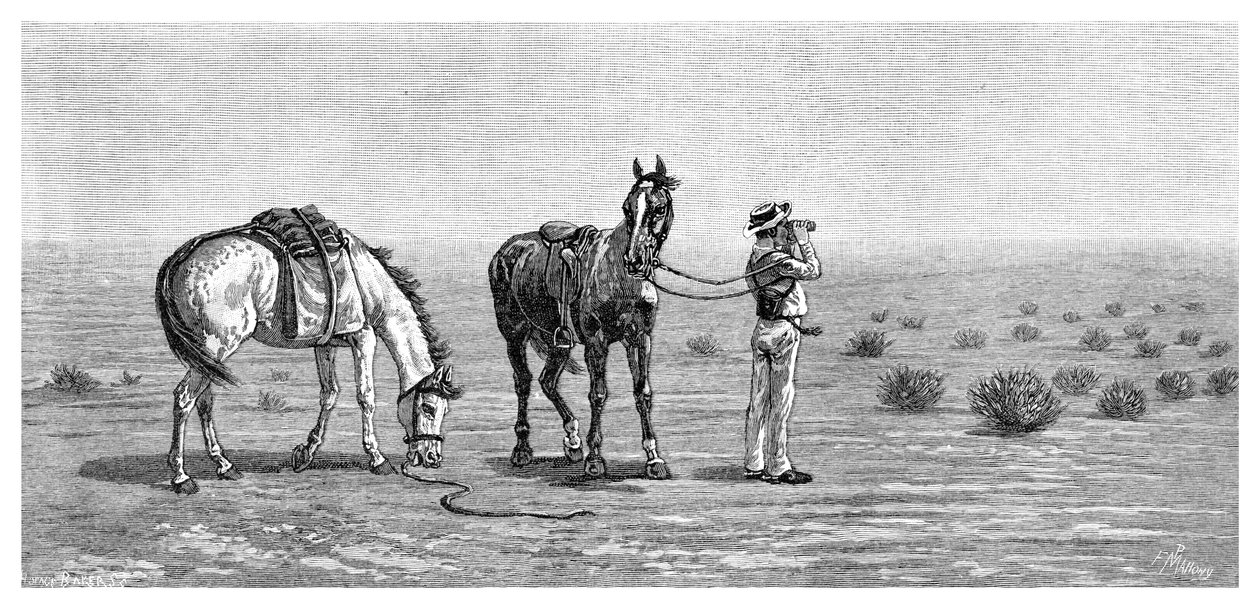 Nada à vista, 1886. de Frank P. Mahony
