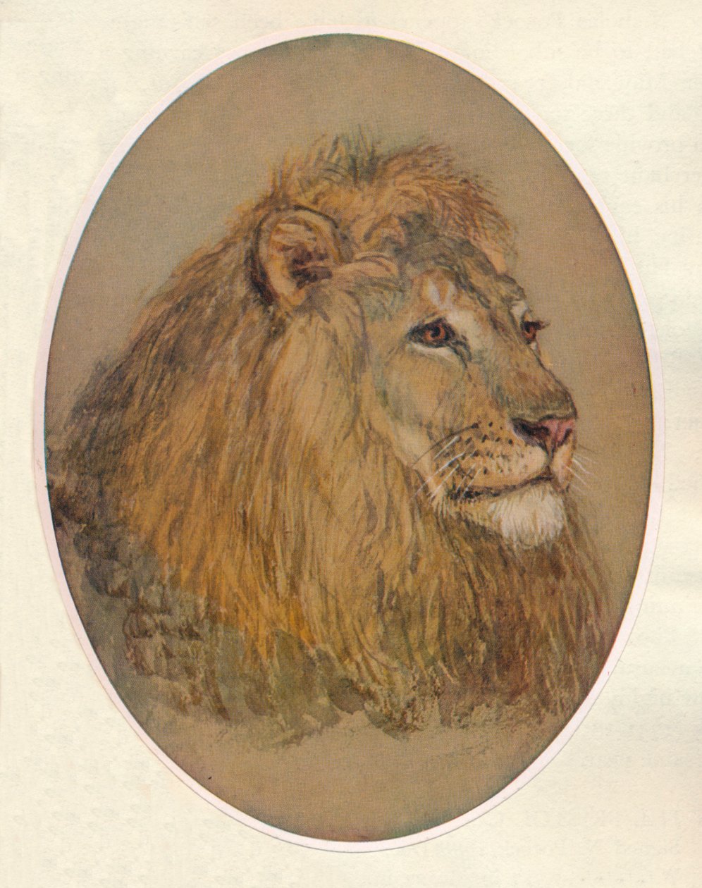 Cabeça do Lions, c1896 de Frank Paton