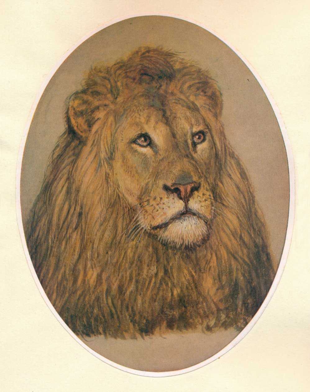 Cabeça do Lions, c1896 de Frank Paton