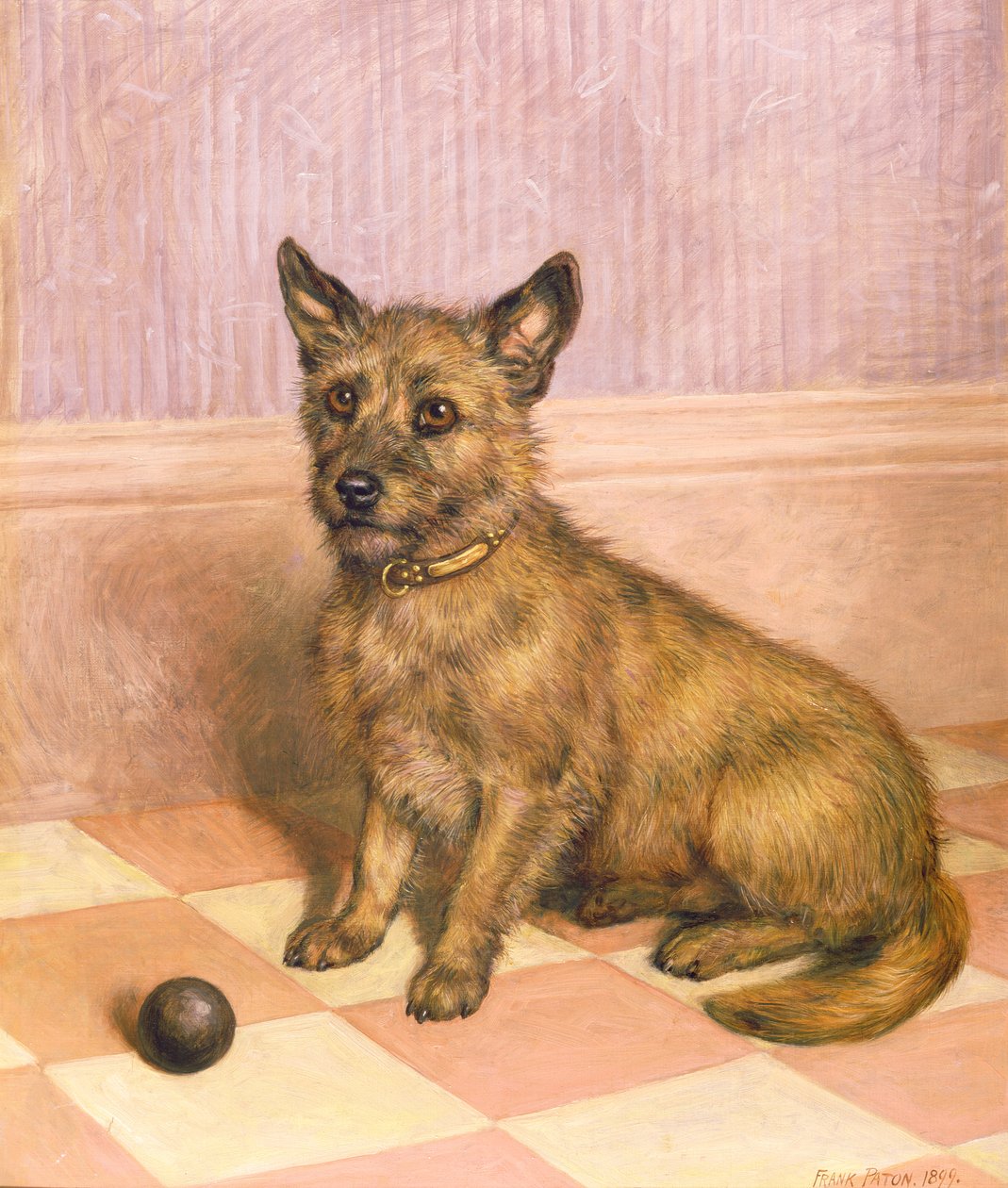 Esperando para jogar, um terrier de Cairn com uma bola (óleo) de Frank Paton